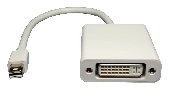 - mini DisplayPort to DVI 